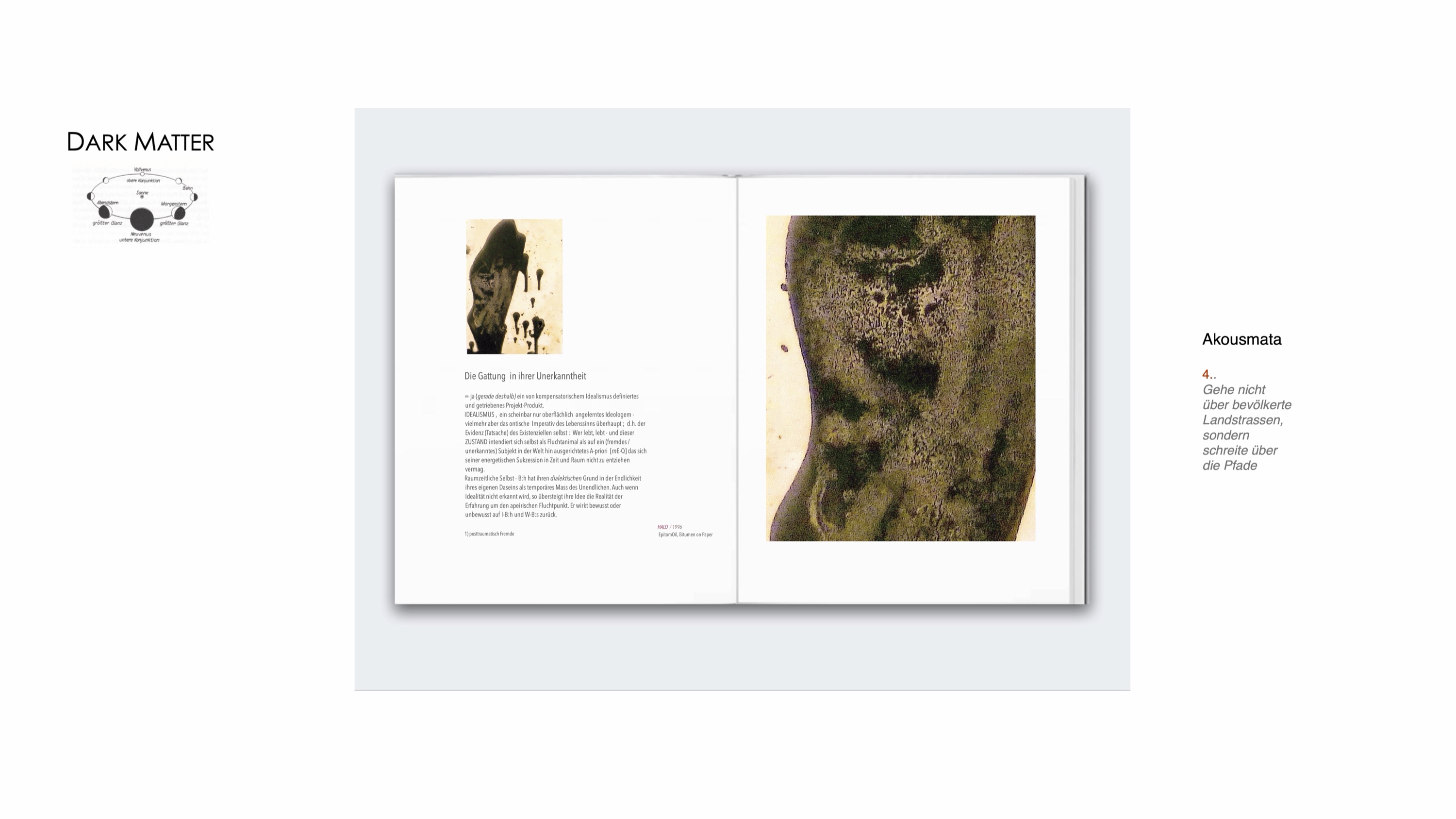 DARK MATTER, Slide 7 — Text-Slide: Heiner H. Hoier „Die Gattung in ihrer Unerkanntheit